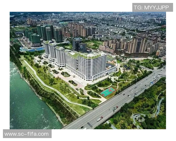 重庆乒乓球队转型之路的挑战与机遇全景观察