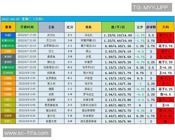 重庆足球队力量表现的数据分析与深度解读助力球队发展与提升竞争力